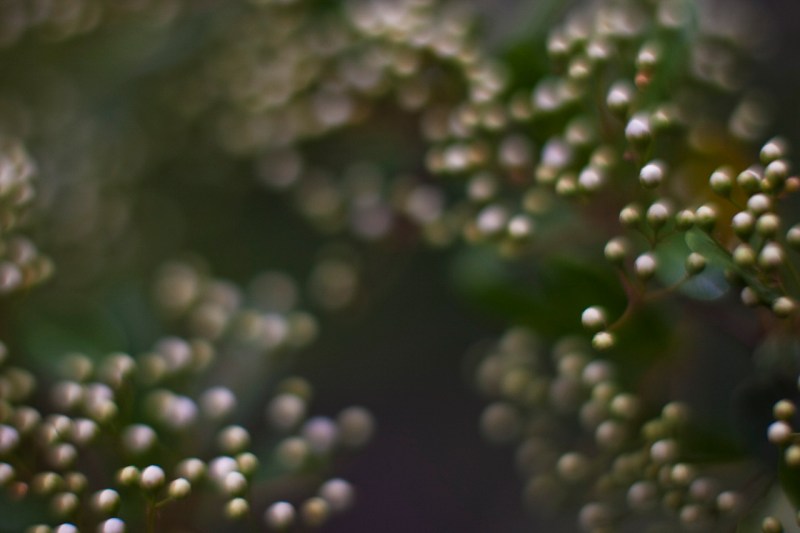 _KYM1764 (1280x853).jpg